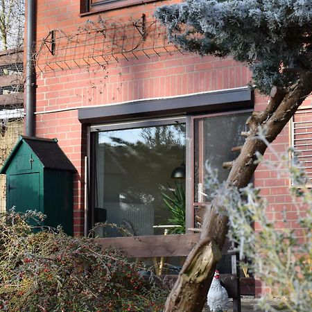 Elbwald-Studio ฮิตซาคเคอร์ ภายนอก รูปภาพ